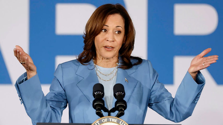 Kamala Harris reassures Democratic Party donors that there’s nothing to worry about