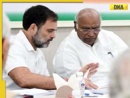 ‘Congress could have…’: Here’s what ‘angry’ Rahul Gandhi told party workers at review meet after Haryana poll debacle