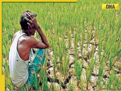 Punjab farmers urge government for permanent solution to stubble burning amid strict penalties