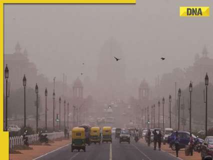 SC slams Centre as Delhi air worsens, calls environment laws…