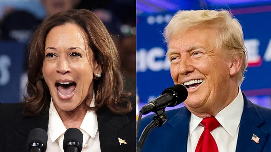 Harris and Trump tied in battleground Michigan, Senate race on razor’s edge: AARP poll