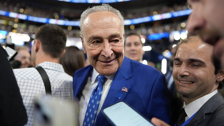 Schumer, Dems pre-election report urges voters to be wary of ‘misinformation’ about results