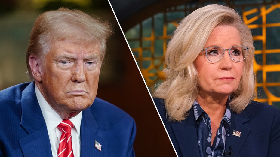 Trump lambastes Liz Cheney as ‘Crazed Warhawk’ as she campaigns for Kamala Harris