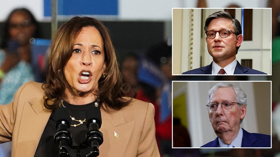 Harris breaks silence after GOP leaders say anti-Trump rhetoric ‘risks inviting’ another assassination attempt