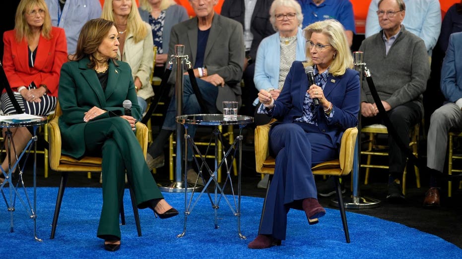 Liz Cheney predicts ‘millions of Republicans’ will vote for Harris: ‘Vote your conscience’