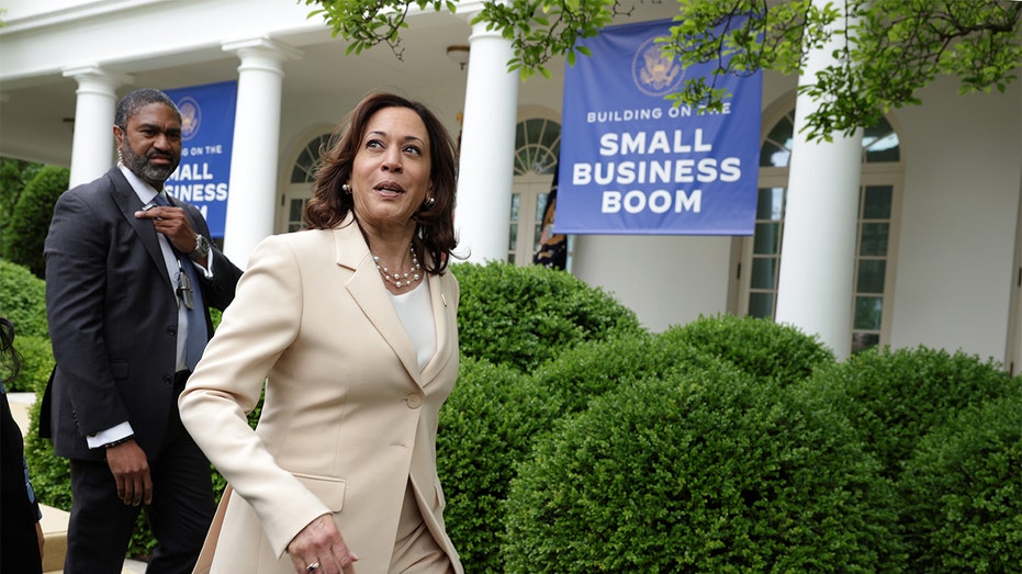 ‘Smacks of blatant vote buying’: Legal experts call Harris proposals for Black men ‘unconstitutional’