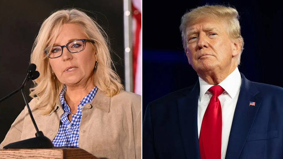 Trump calls Liz Cheney a ‘low IQ war hawk’ after appearance in support of Harris