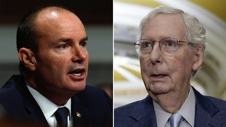 Mike Lee outlines roadmap for McConnell successor, warns the ‘health of the Republican Party’ is at stake