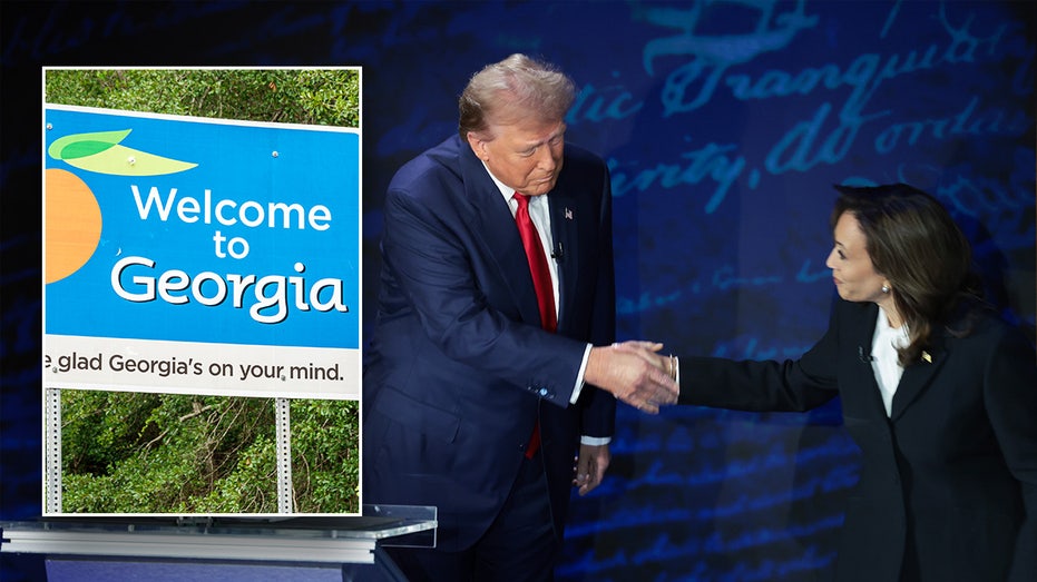 Another Trump vs Harris debate? Voters in key Georgia county say ‘no thanks’