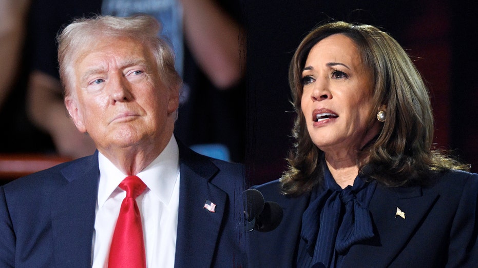 Trump, Harris locked in dead heat in 7 battleground states, poll finds: ‘Could not be closer’