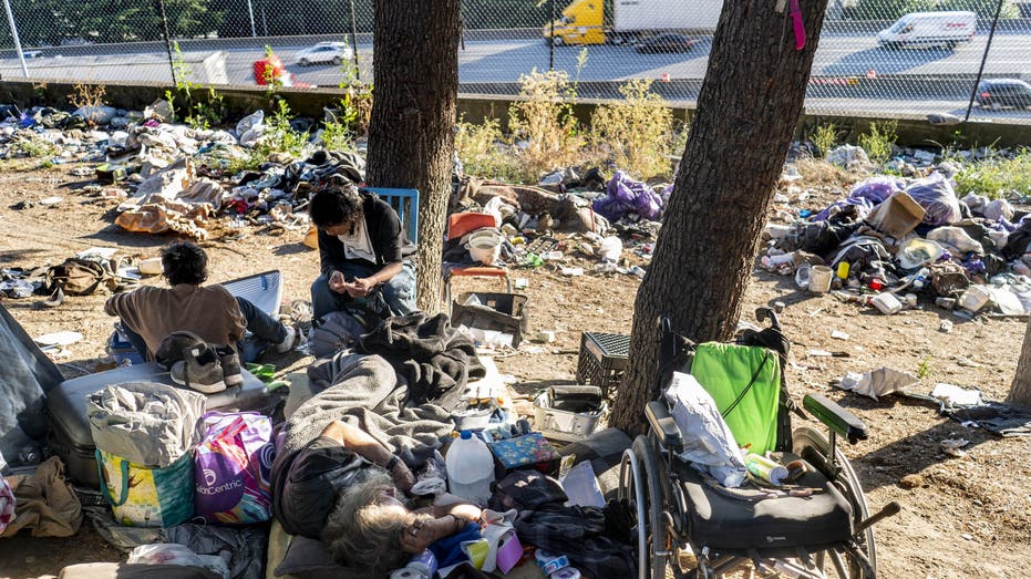 Washington state Democrat pushes to give homeless special civil rights