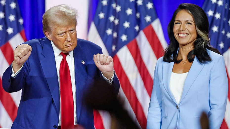 Democrats trash Tulsi Gabbard after Trump taps her for DNI post