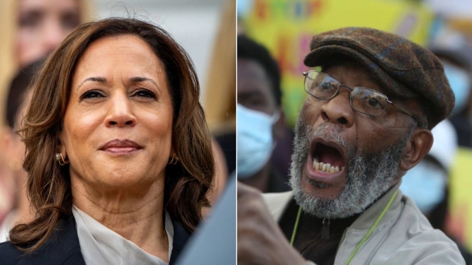 VP Harris’ radical mentor could be key player in reparations push if she becomes president