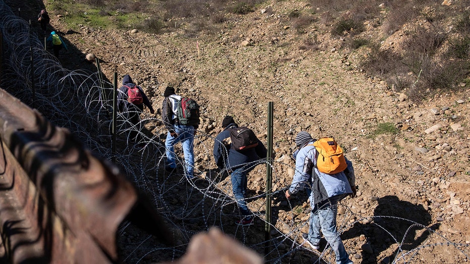 ‘Trojan horse’ amendment could allow illegals to vote, New York experts say