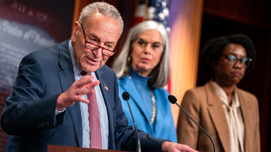 Opponents of antisemitism on campus frustrated by Schumer’s failure to move on legislation: ‘Stunning’