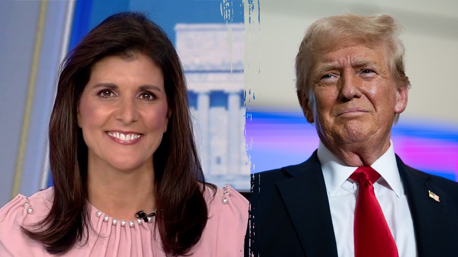 Nikki Haley responds after Trump says she won’t be part of new cabinet, says she wishes him ‘great success’