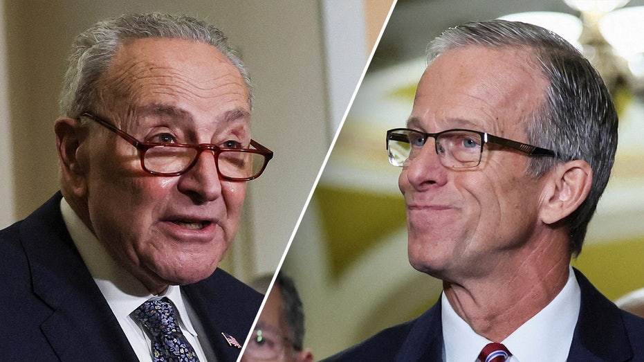 Senate showdown: GOP secures deal with Schumer to save coveted appellate judges for Trump