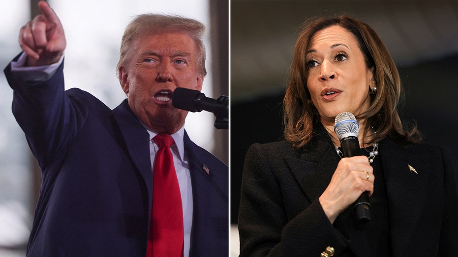 ‘Enjoy retirement’: Veteran pollster mocked after Harris prediction in Iowa was ‘shockingly wrong’