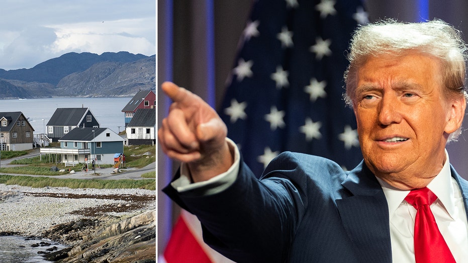 ‘Absolute necessity’: Trump sparks concerns after floating desire to control Panama Canal, Greenland