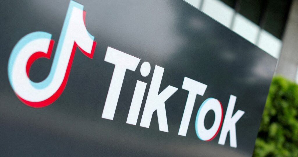 TikTok says reports of potential sale to Elon Musk are ‘pure fiction’