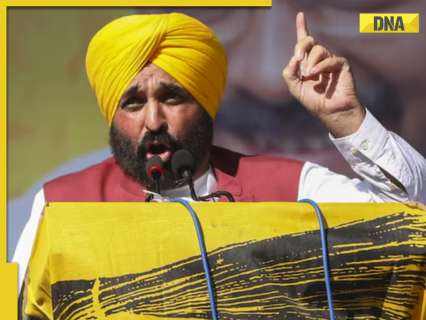 BJP alleges ‘misuse’ of official machinery of AAP-ruled Punjab in Delhi polls; CM Mann calls it ‘insulting for Punjabis’