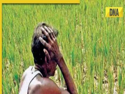 PM Kisan 19th Installment expected soon, know how to check beneficiary status