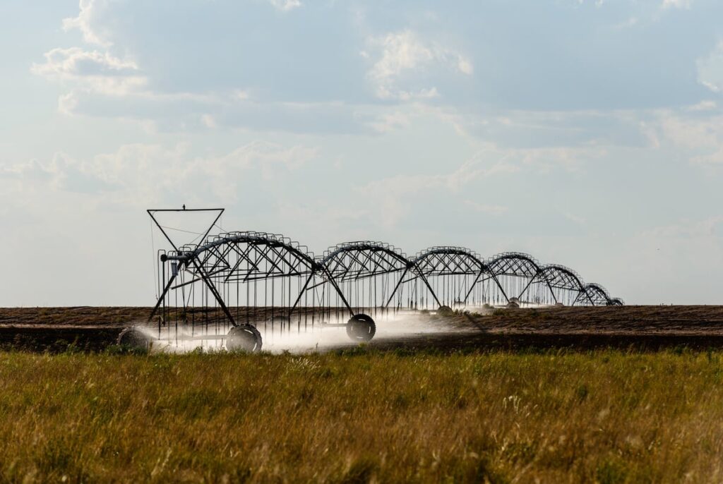 Will Republican control of Congress lead to updated ag laws? Texas farmers hope so.