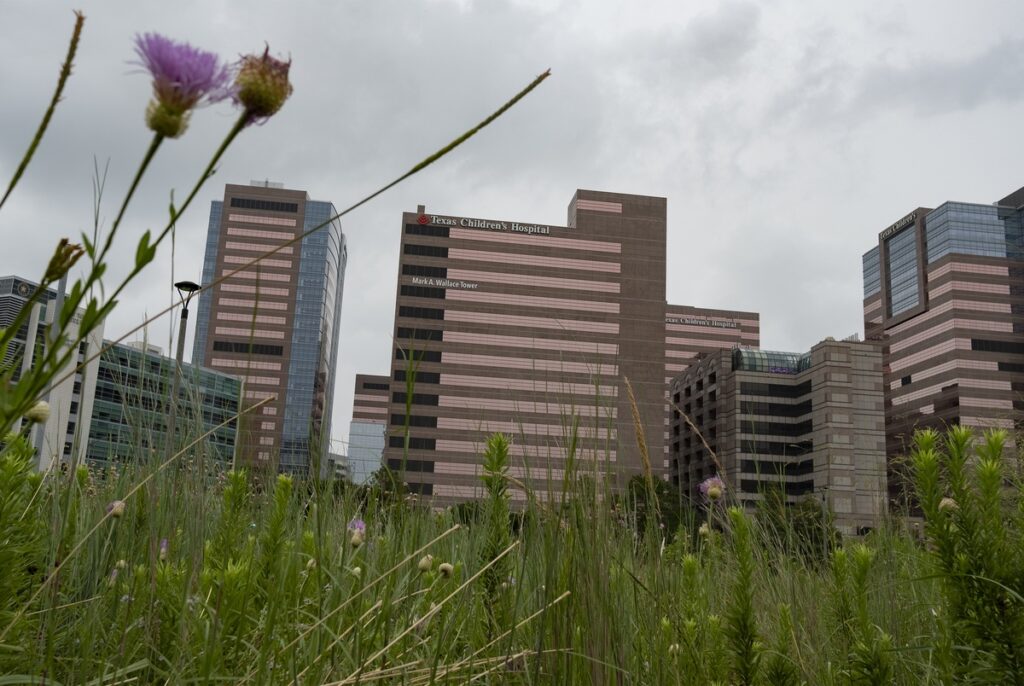 Feds drop charges against Texas doctor accused of leaking transgender care data