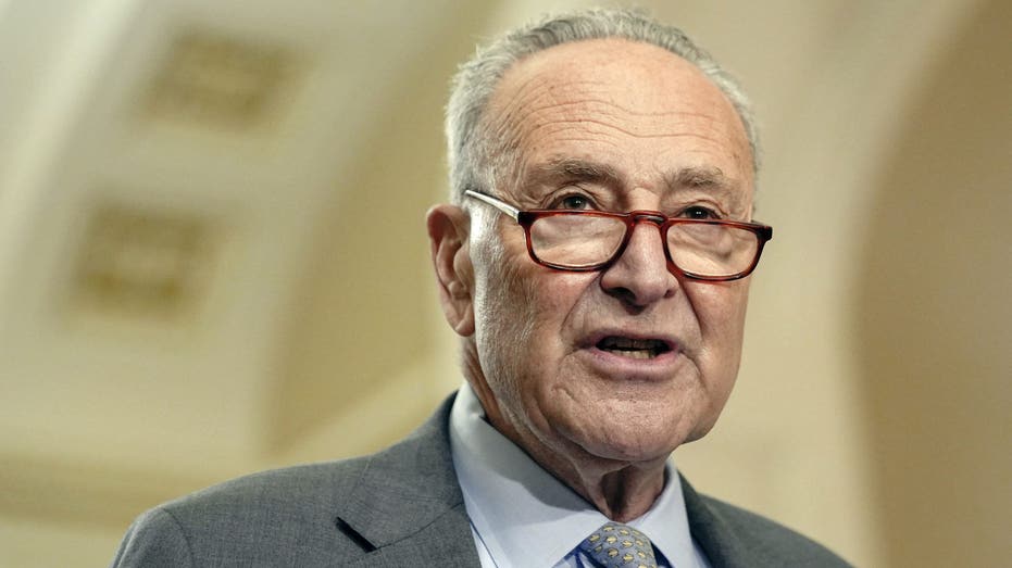 Schumer says Dems must ‘look in the mirror’ after losing White House, Senate: ‘We did some things wrong’