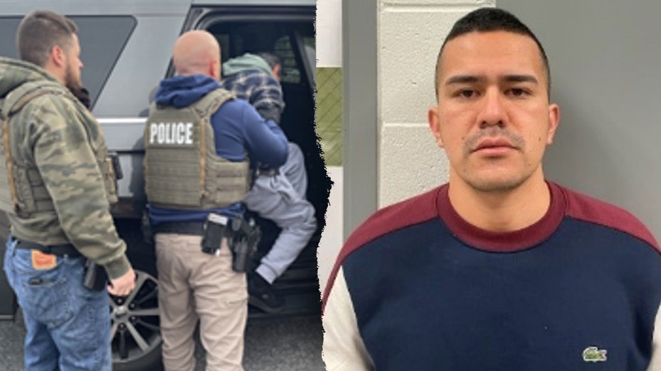 Trump’s ICE racks up hundreds of arrests, including illegal immigrants arrested for horror crimes