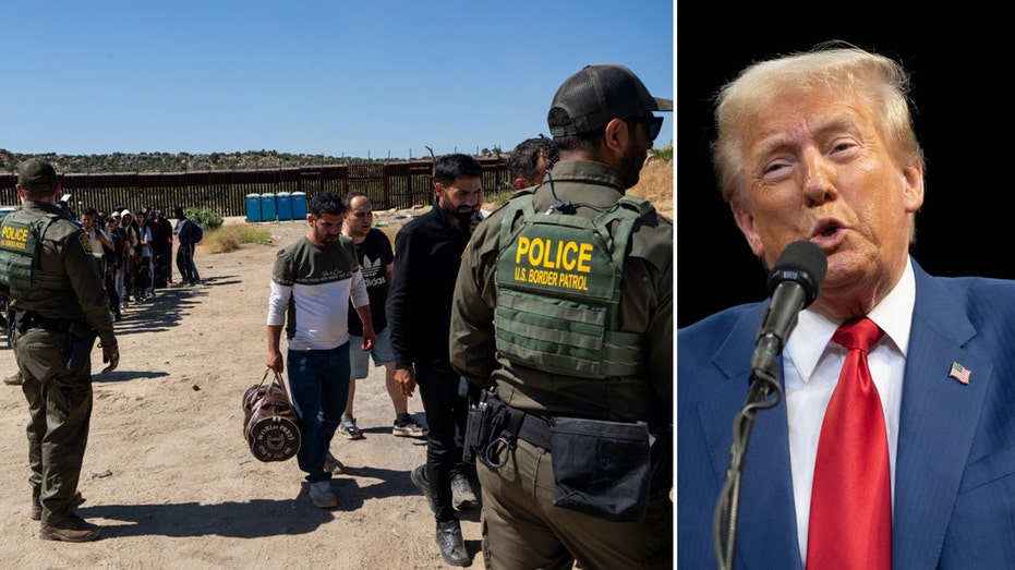 Significant majority believe Trump will ‘control illegal immigration’: poll