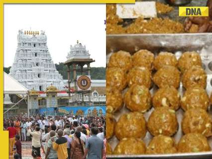 Tirupati Laddu Prasadam row: CBI arrests four people in ghee adulteration case