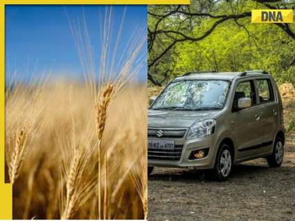 Car gets stuck in wheat field in the dead of night, know what Google Maps error caused later