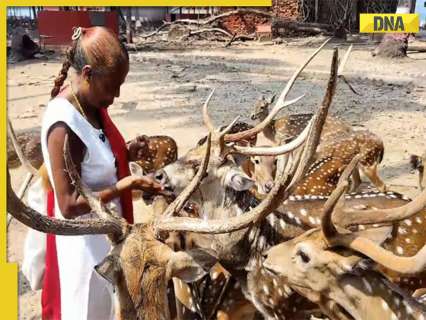 Meet Anuradha Rao, Andaman’s ‘Deer Woman’ key in bridging gap between humans, wildlife