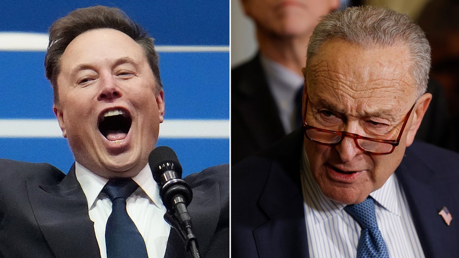 Elon Musk dunks on Sen Chuck Schumer, declaring ‘Hysterical reactions’ demonstrate DOGE’s importance