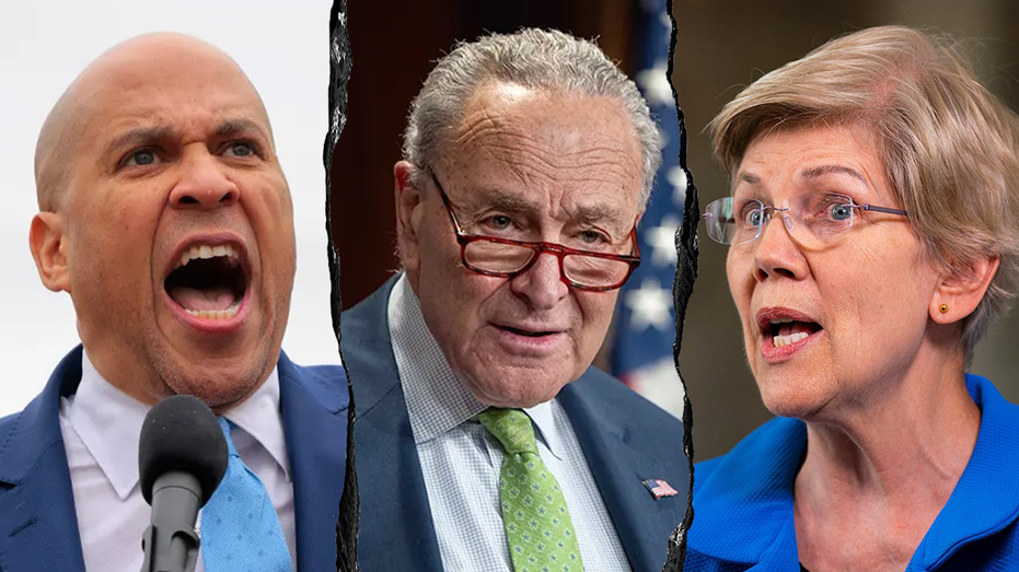 Conservatives flip script on Senate Dems pushing identical talking points against Trump: ‘Like robots’