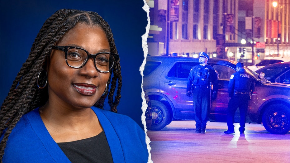 Illinois Dem lawmaker pushes bill to legalize attacks on police for people having mental health episode