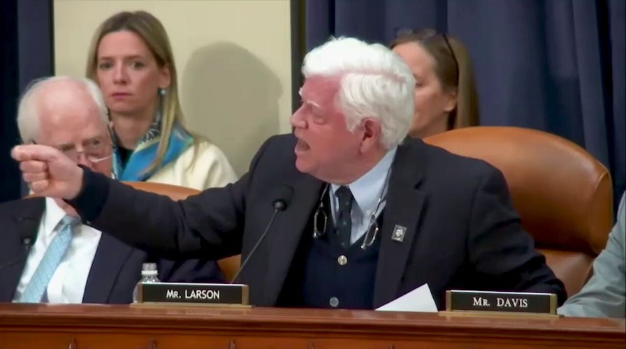 House Dem goes on screaming rant against Elon Musk, DOGE: ‘Shame!’