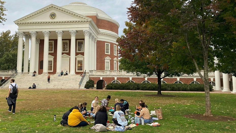 University of Virginia to remove its DEI office: ‘Voted for commonsense’